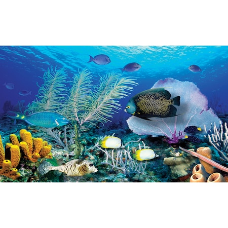 Biggies Scenes Window Well Scenes-Ocean, 80 in wide x 40 in high BG-WW-OCN-80